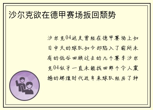 沙尔克欲在德甲赛场扳回颓势