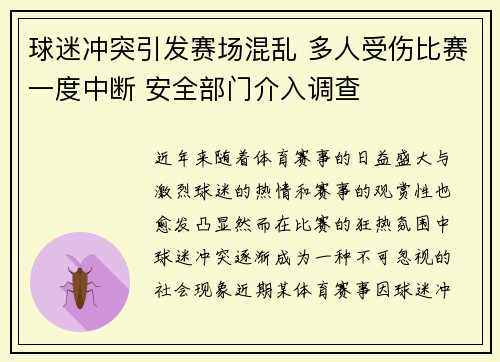球迷冲突引发赛场混乱 多人受伤比赛一度中断 安全部门介入调查