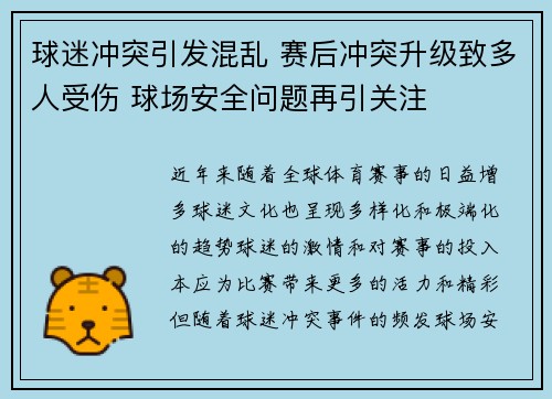 球迷冲突引发混乱 赛后冲突升级致多人受伤 球场安全问题再引关注